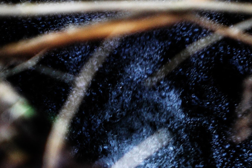 Sain y Ffotograff – Sound of the&nbsp;Photograph