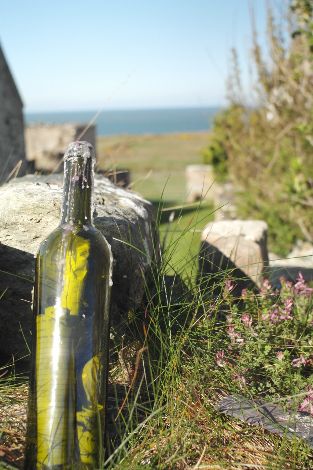 Message in A Bottle – From a residency on&nbsp;Enlli